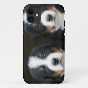 Bernese mountain dog iPhone 5 Case-Mate ID™ 11 Case