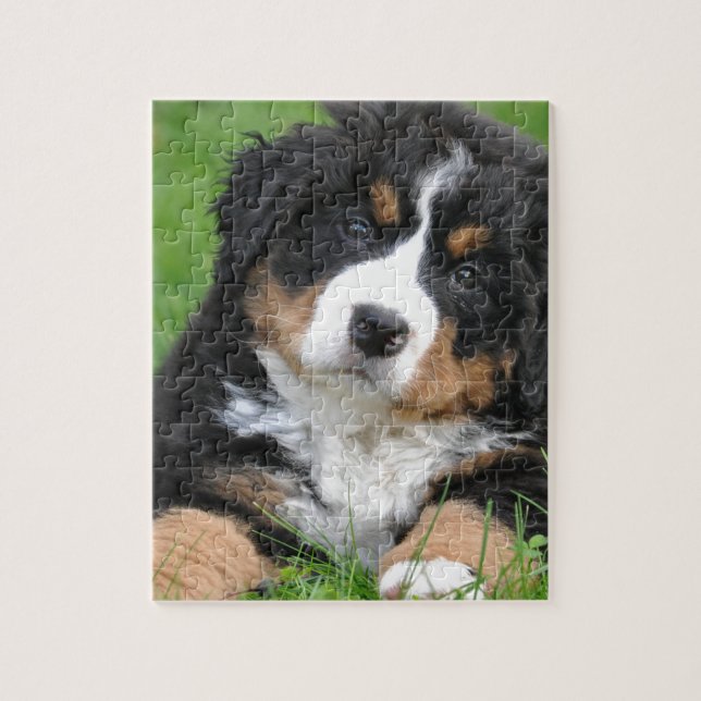 Bernese Mountain Dog Jigsaw Puzzle (Vertical)