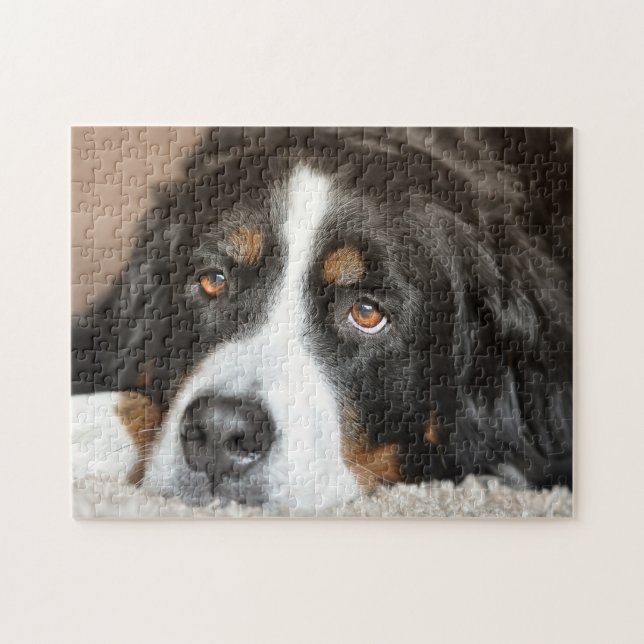 Bernese Mountain Dog Jigsaw Puzzle (Horizontal)