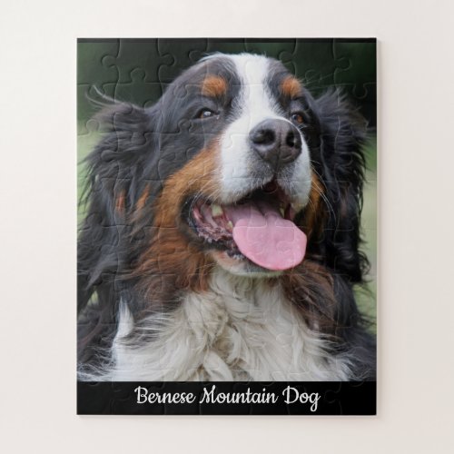 Bernese Mountain Dog Jigsaw Puzzle