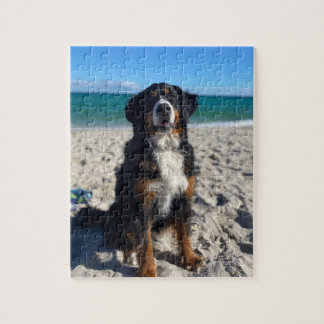 Bernese Mountain Dog Jigsaw Puzzle