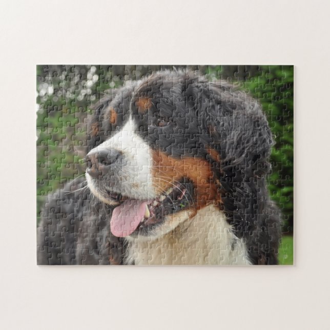 Bernese Mountain Dog. Jigsaw Puzzle (Horizontal)