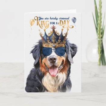Bernese Mountain Dog King For A Day Funny Birthday Card by PAWSitivelyPETs at Zazzle