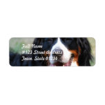 Bernese Mountain Dog Label