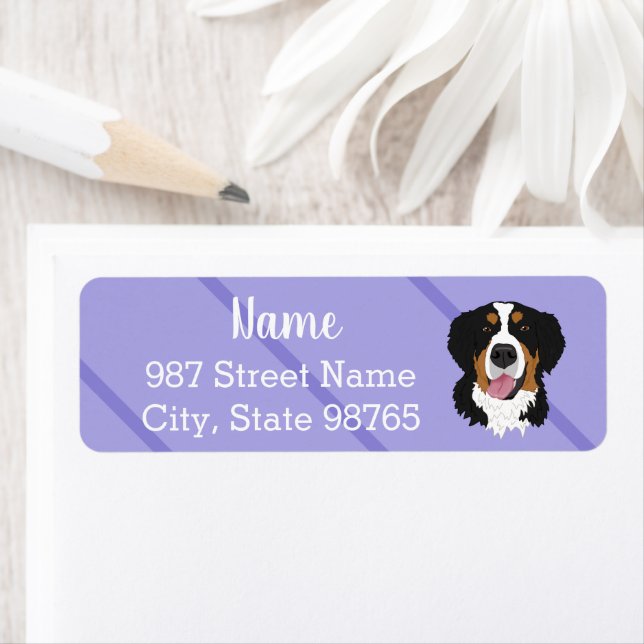 Bernese Mountain Dog Label (Insitu)