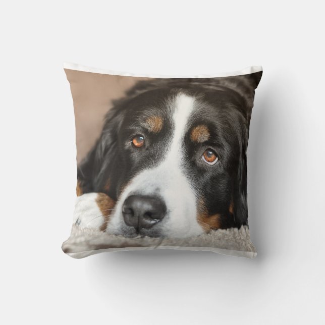 bernese mountain dog laying throw pillow (Front)