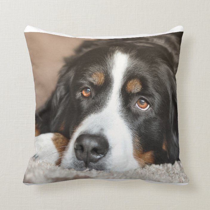 bernese mountain dog pillow pet