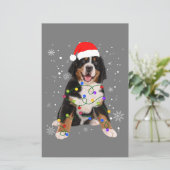 Bernese Mountain Dog Lights Christmas Matching Fam (Standing Front)