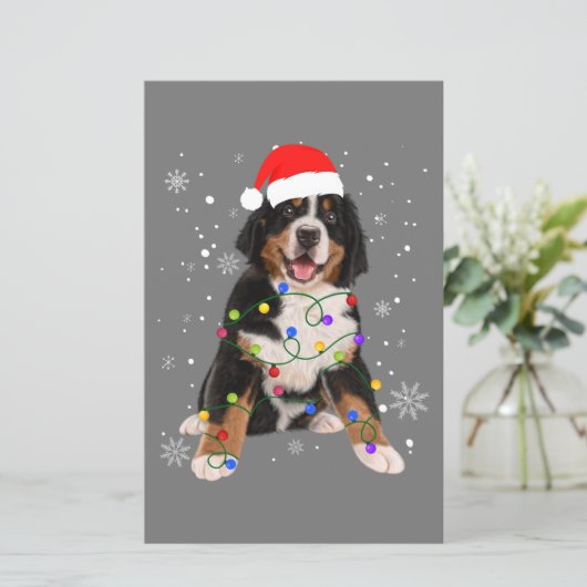 Bernese Mountain Dog Lights Christmas Matching Fam (Standing Front)