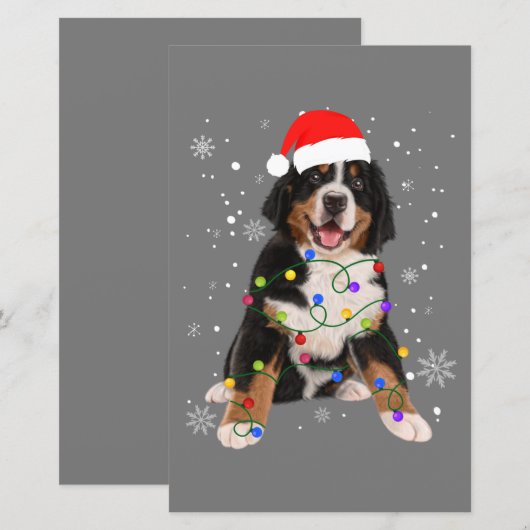Bernese Mountain Dog Lights Christmas Matching Fam (Front/Back)