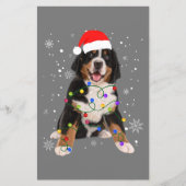 Bernese Mountain Dog Lights Christmas Matching Fam (Front)