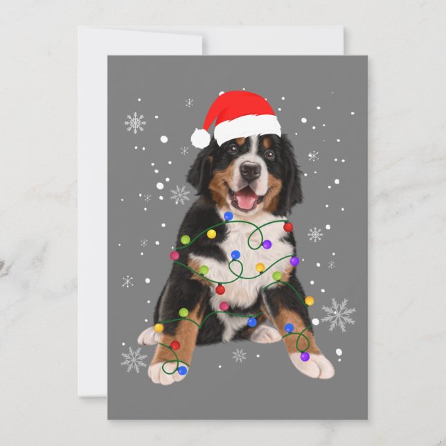 Bernese Mountain Dog Lights Christmas Matching Fam Invitation (Front)