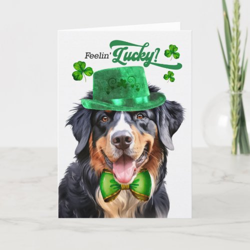 Bernese Mountain Dog Lucky St Patricks Day Holiday Card