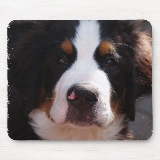 Bernese Mountain Dog Mouse Pad (Front)