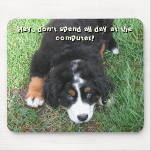 Bernese Mountain Dog Mouse Pad