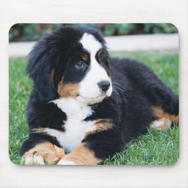 Bernese Mountain Dog Mouse Pad (Front)