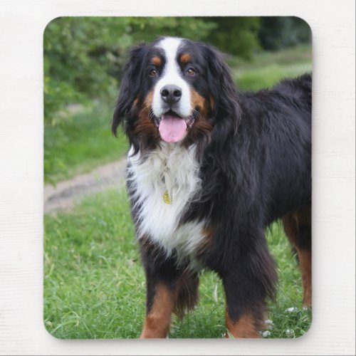 Bernese Mountain dog mousepad gift idea Mouse Pad