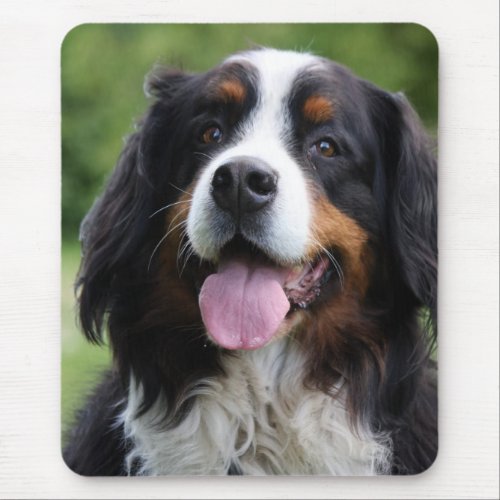 Bernese Mountain dog mousepad gift idea Mouse Pad