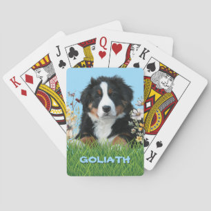 Bernese Mountain Dog Name Poker Cards