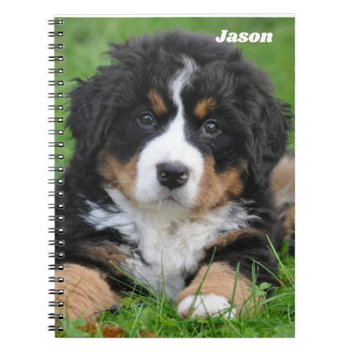 Bernese Mountain Dog Notebook Puppy