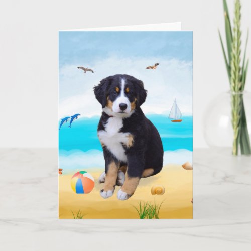 Bernese Mountain Dog on Beach  Card