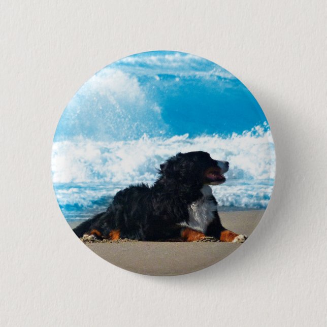 Bernese Mountain Dog on Beach Pinback Button (Front)