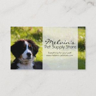 Bernese mountain dog on green grass pet photo business card