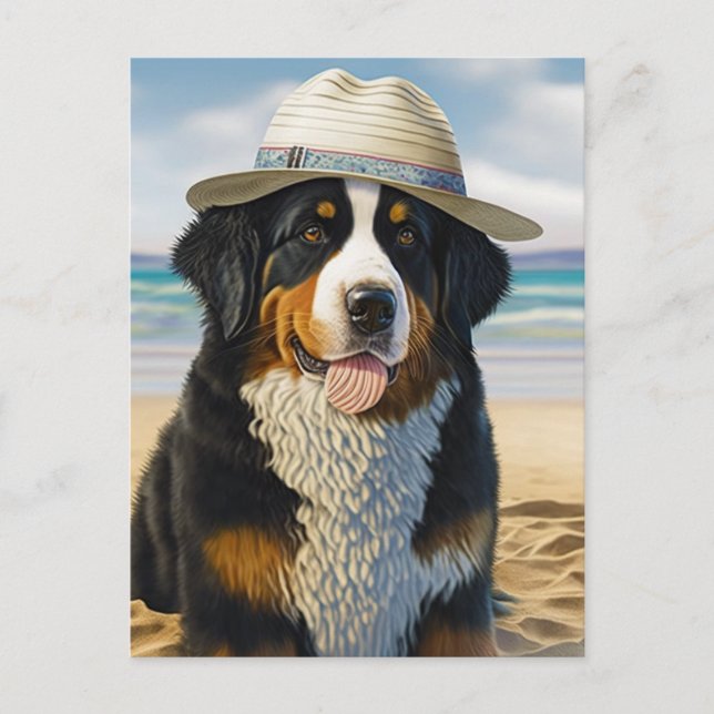 Bernese Mountain Dog on the Beach Postcard (Front)
