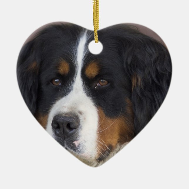 Bernese Mountain Dog Ornament (Front)