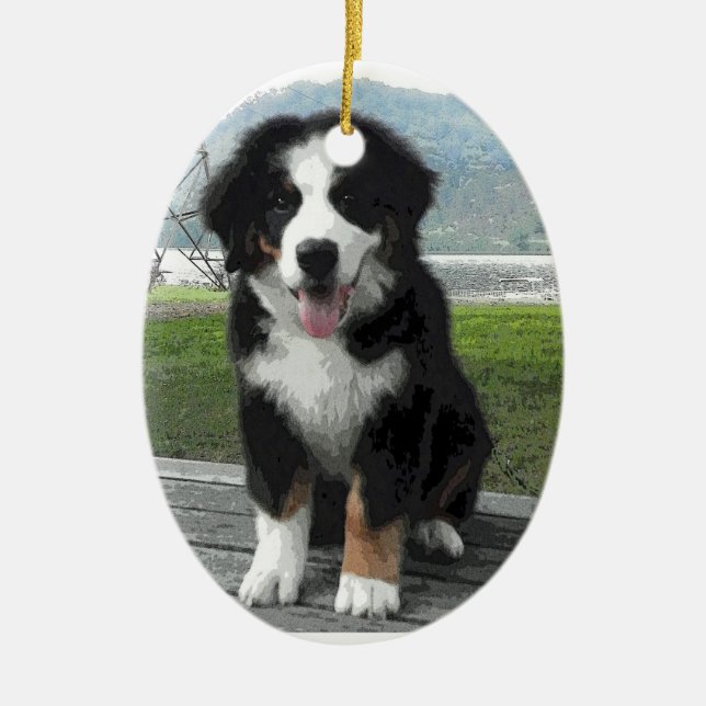 Bernese Mountain Dog Ornament (Front)