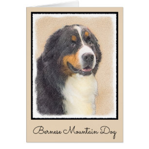 Bernese Mountain Dog Painting - Original Dog Art Cards