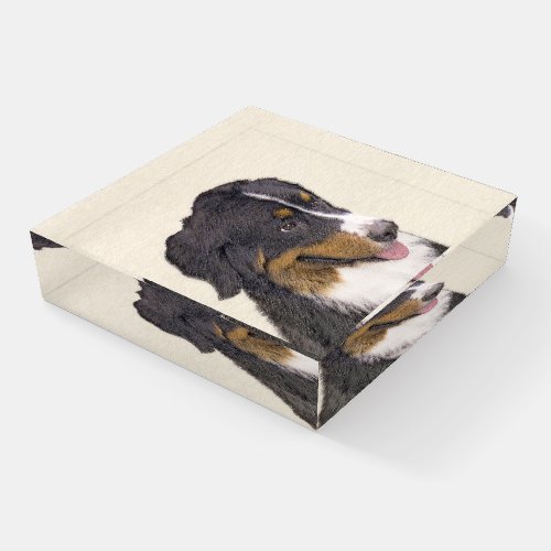 Bernese Mountain Dog Painting _ Original Dog Art Paperweight