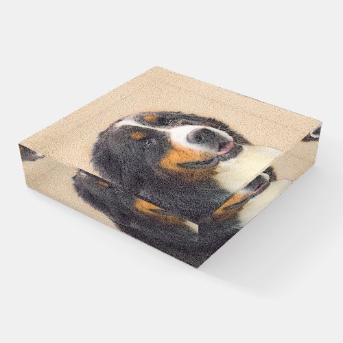 Bernese Mountain Dog Painting _ Original Dog Art Paperweight