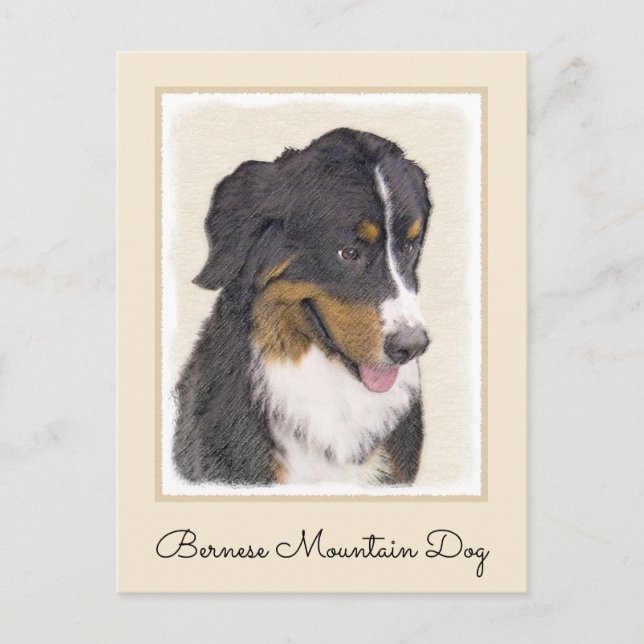 Bernese Mountain Dog Painting - Original Dog Art Postcard (Front)