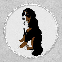 Bernese Mountain Dog  