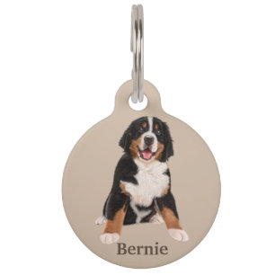 Bernese Mountain Dog Personalize Pet ID Tag