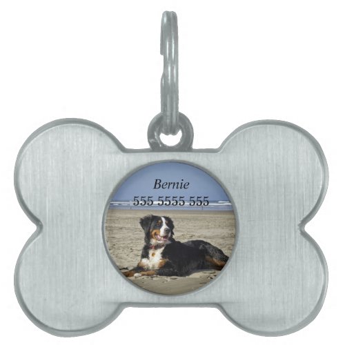 Bernese Mountain dog pet dog custom name id tag