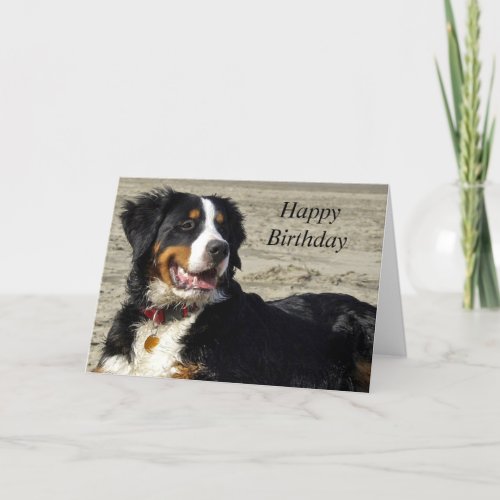 Bernese Mountain dog photo custom birthday card