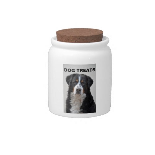 Bernese Mountain dog photo dog treats jar gift Candy Jar