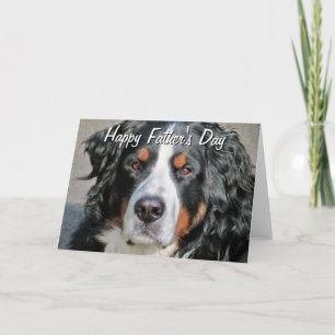 Bernese Mountain Dog Photo Image Happy'S Da Card