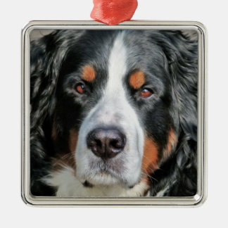 Bernese Mountain Dog Photo Image Metal Ornament