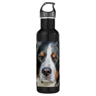Bernese Mountain Dog Photo Image Stainless Steel Water Bottle