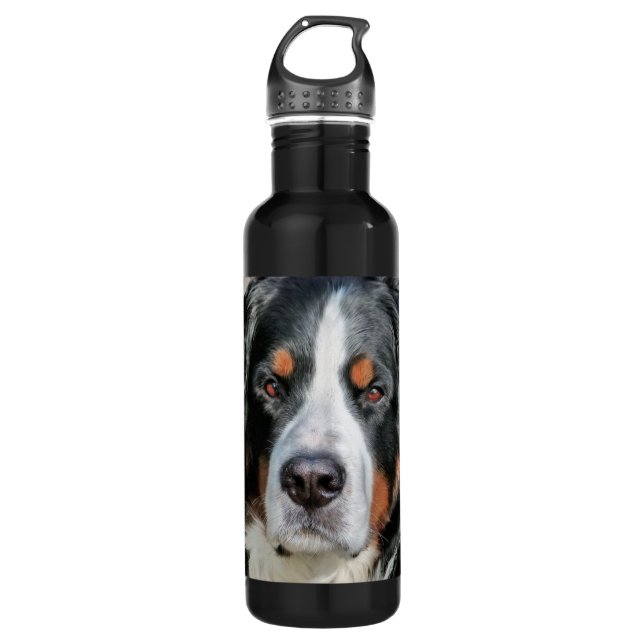 Bernese Mountain Dog Photo Image Stainless Steel Water Bottle (Front)