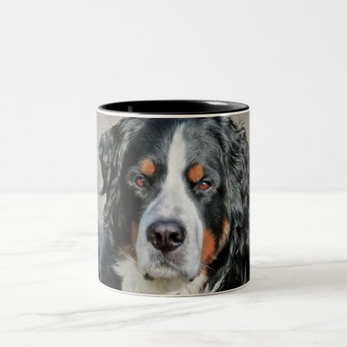 Bernese Mountain Dog Photo Image Two_Tone Coffee Mug