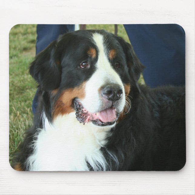 Bernese Mountain Dog Photo Mouse Pad (Front)