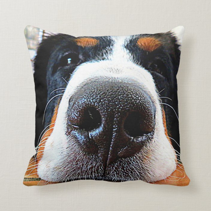 bernese mountain dog pillow pet