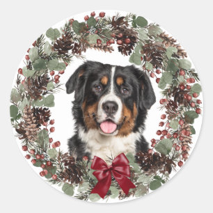 Bernese Mountain Dog Pinecone Wreath Christmas Classic Round Sticker