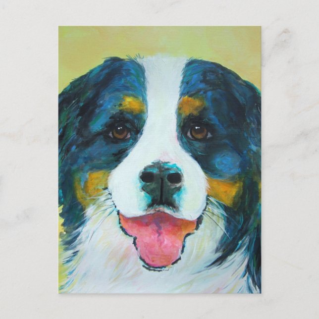 Bernese Mountain Dog Postcard (Front)