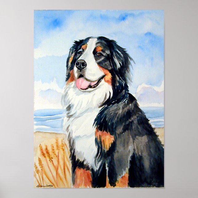 Bernese Mountain Dog Poster Print (Front)