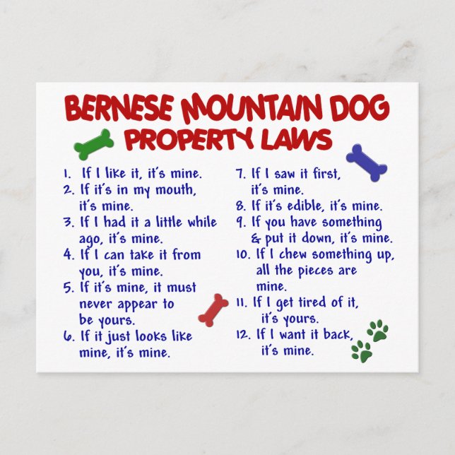 BERNESE MOUNTAIN DOG Property Laws 2 Postcard (Front)